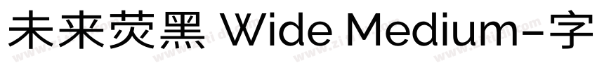 未来荧黑 Wide Medium字体转换